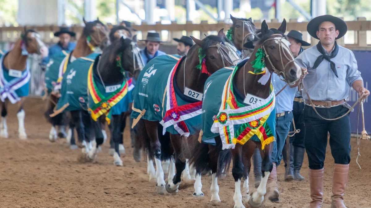 Bocal de Ouro abre o calendário de classificatórias nacionais para o Freio de Ouro 2026