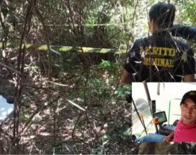 Tragédia no campo: Agricultor de 35 anos morre após ataque de javali