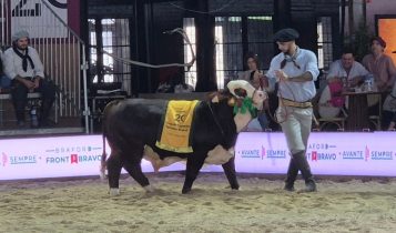 Nacional consagra campeões Braford e evidencia seleção voltada ao mercado