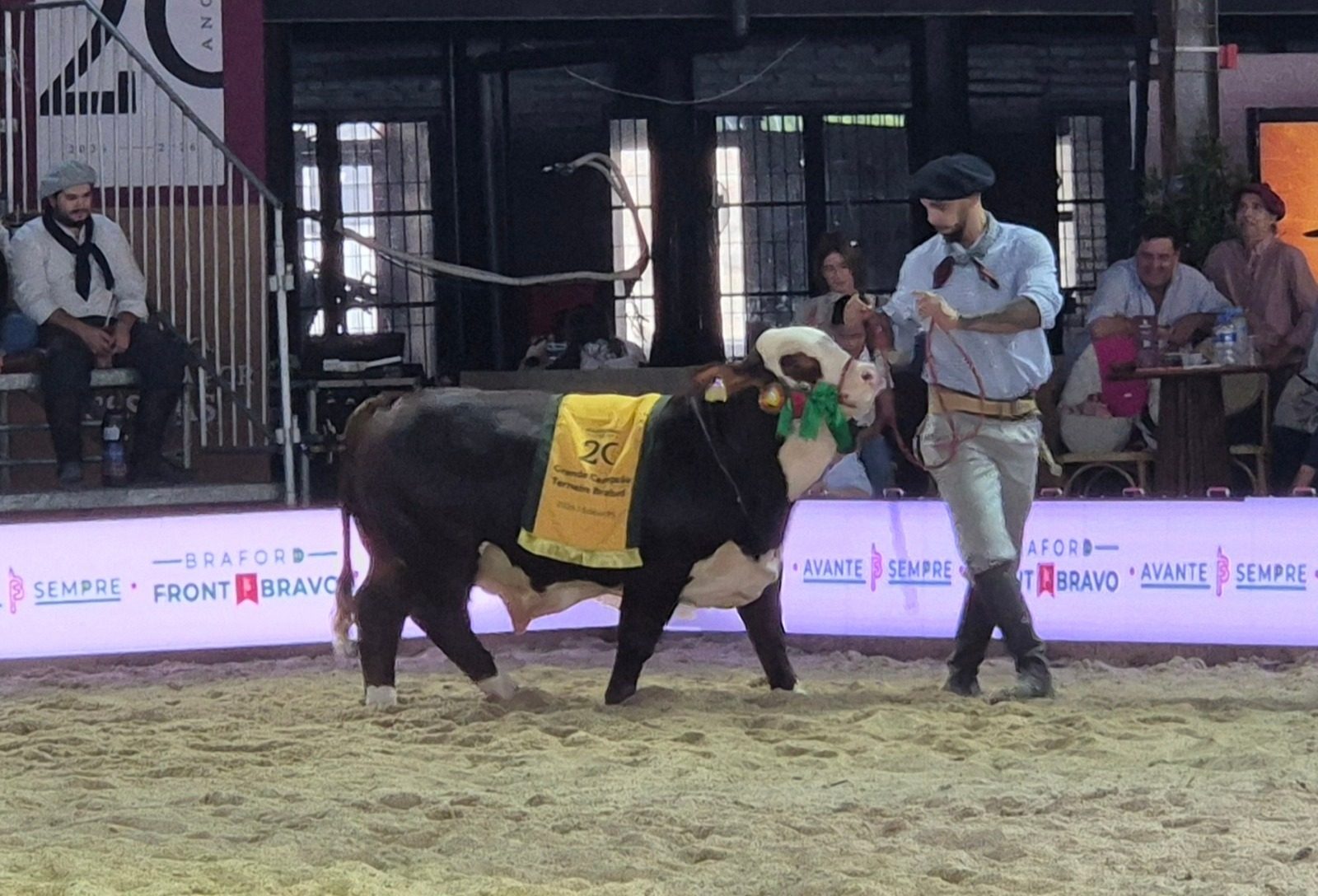 Nacional consagra campeões Braford e evidencia seleção voltada ao mercado