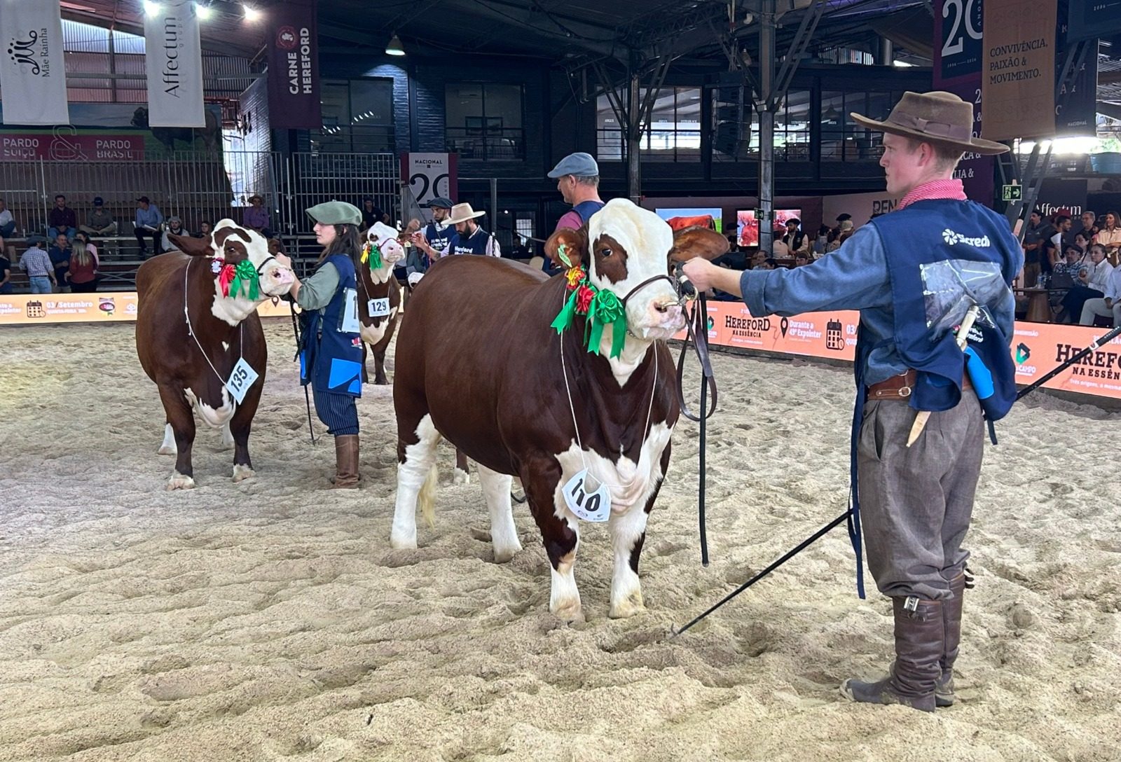 Nacional Hereford e Braford buscou reforçar a valorização da genética aliada ao mercado