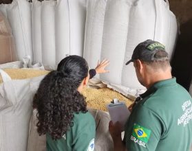 Operação apreende R$ 6 milhões em sementes irregulares no Rio Grande do Sul