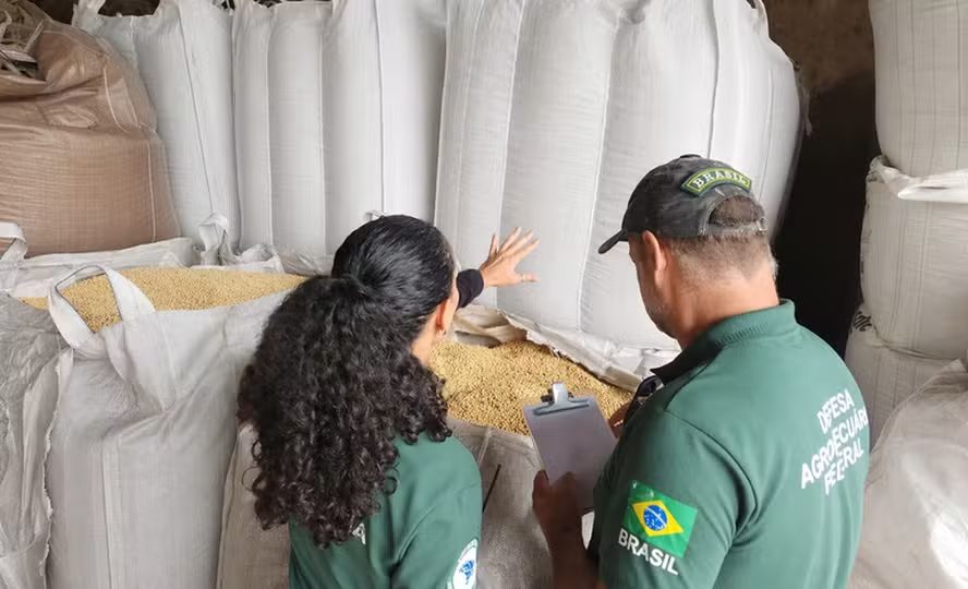 Operação apreende R$ 6 milhões em sementes irregulares no Rio Grande do Sul