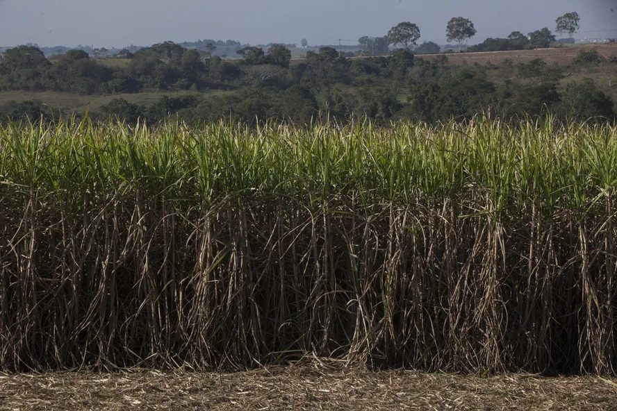 BNDES investe R$ 84 milhões em inovação com três novos projetos do CTC