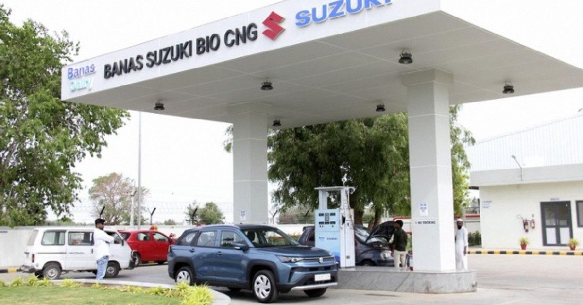 Suzuki Motor Corp usa esterco de vaca para produzir combustível na Índia: veja como funciona
