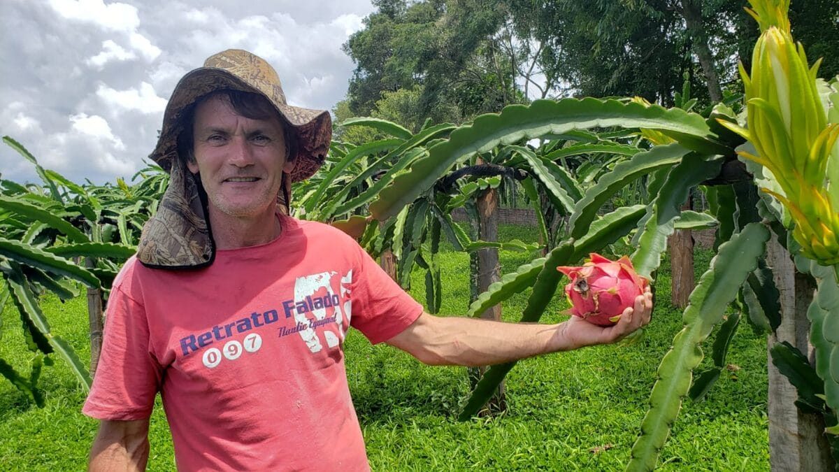 Conheça o marceneiro que largou tudo para cultivar a fruta cuja flor só abre à noite