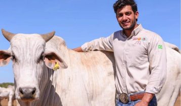 Empresário do agro é encontrado morto no Tocantins; veja quem ele era