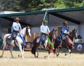 Cavalo Manga Larga mostra força e versatilidade na Agrishow 2026