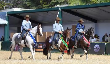 Cavalo Manga Larga mostra força e versatilidade na Agrishow 2026