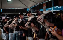 Raça holandesa concentra programação da Fenasul Expoleite em Esteio