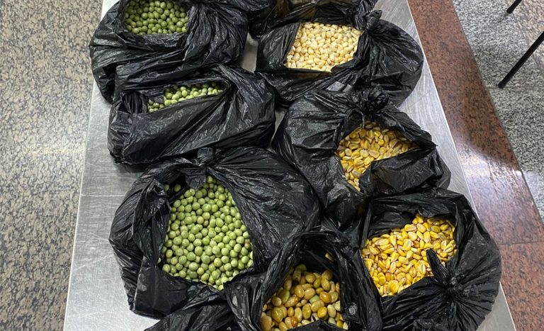 Vigiagro apreende até 270 quilos por dia de material irregular em bagagens no Aeroporto de Guarulhos