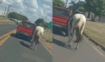 Homem é multado em R$ 3 mil após puxar cavalo amarrado a carro no interior de SP