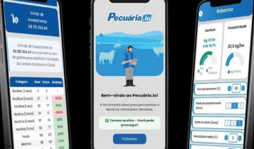 simulador pecuaria