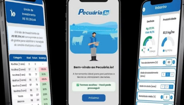 simulador pecuaria