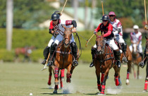 Polo: O esporte onde um jogador pode precisar de mais de 10 cavalos — entenda a lógica por trás
