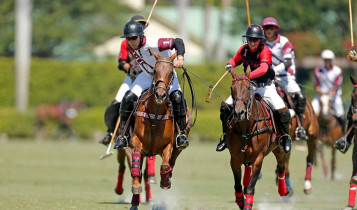 Polo: O esporte onde um jogador pode precisar de mais de 10 cavalos — entenda a lógica por trás