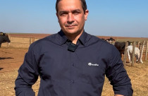 Confinamento sob pressão: adaptação dos lotes define desempenho e custo por arroba na pecuária