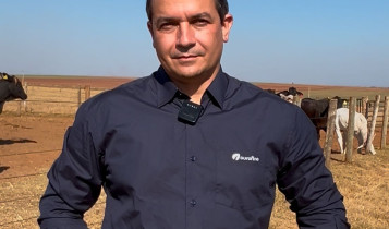 Confinamento sob pressão: adaptação dos lotes define desempenho e custo por arroba na pecuária