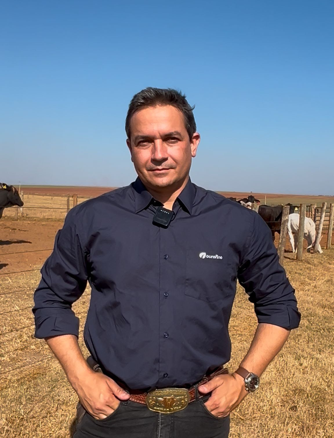 Confinamento sob pressão: adaptação dos lotes define desempenho e custo por arroba na pecuária