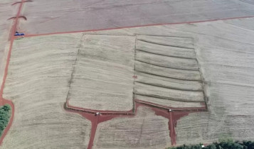 Uso de terraços em lavouras reduz perda de água e solo
