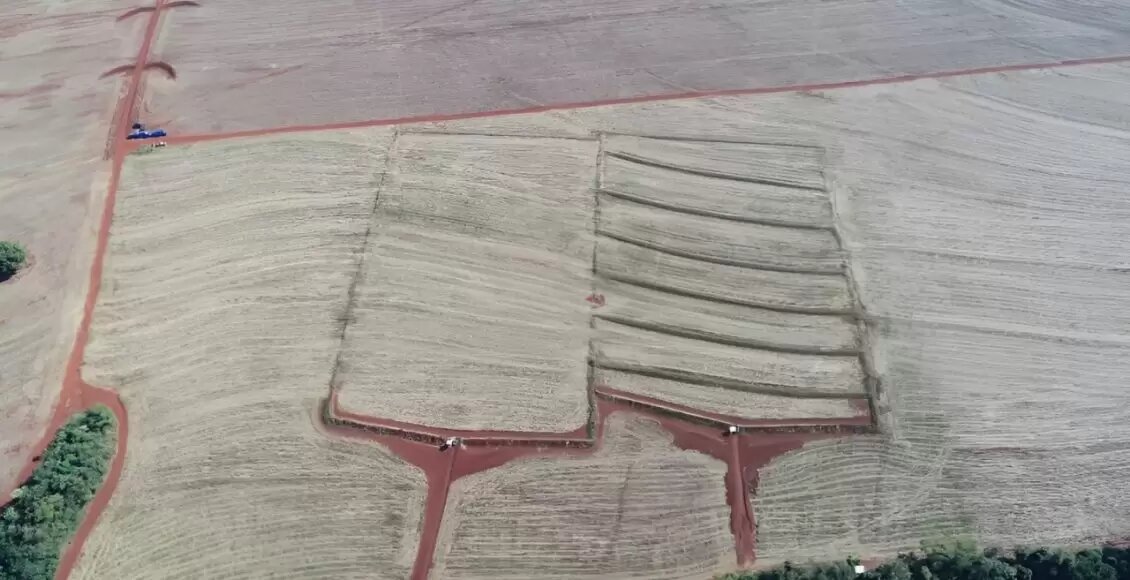 Uso de terraços em lavouras reduz perda de água e solo