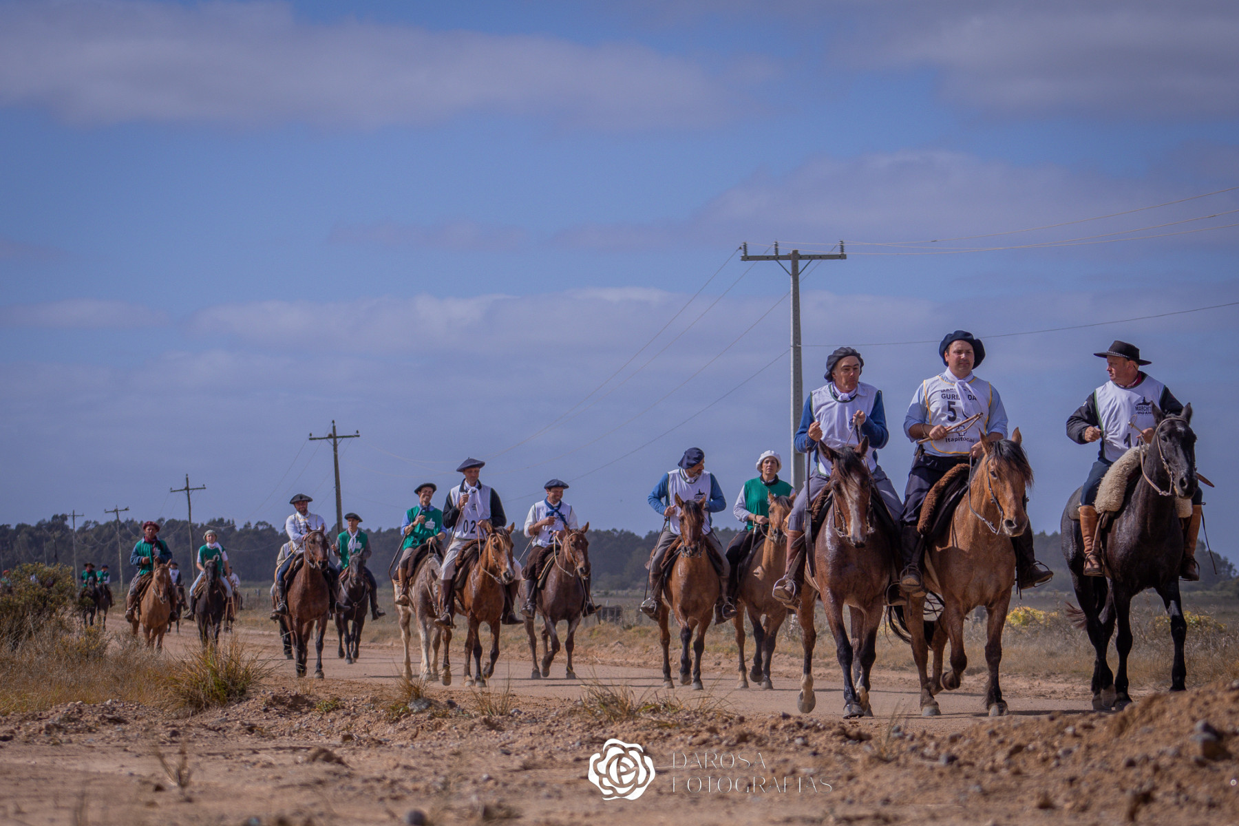 Marcha de Resistência do Cavalo Crioulo registra recorde de animais inscritos
