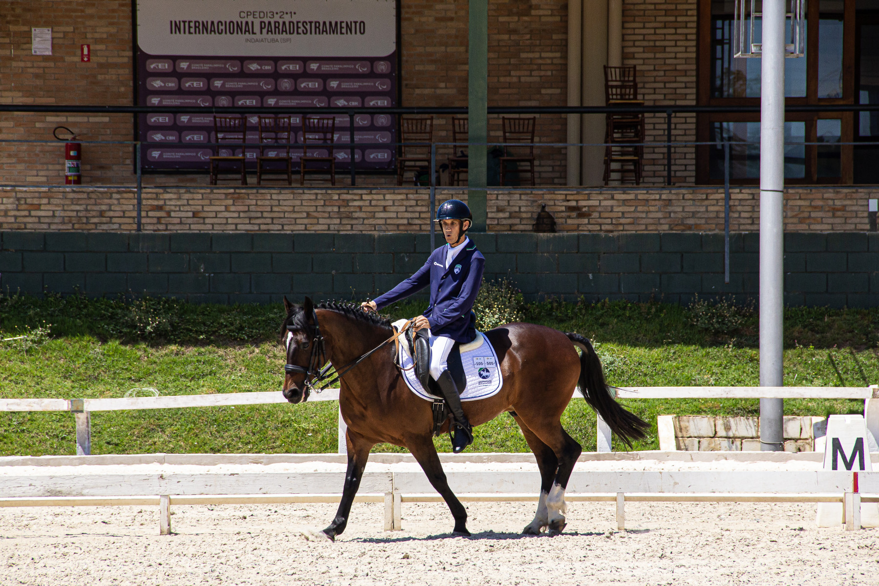 Cavalo Crioulo é presença confirmada no Mundial Paraequestre na Alemanha