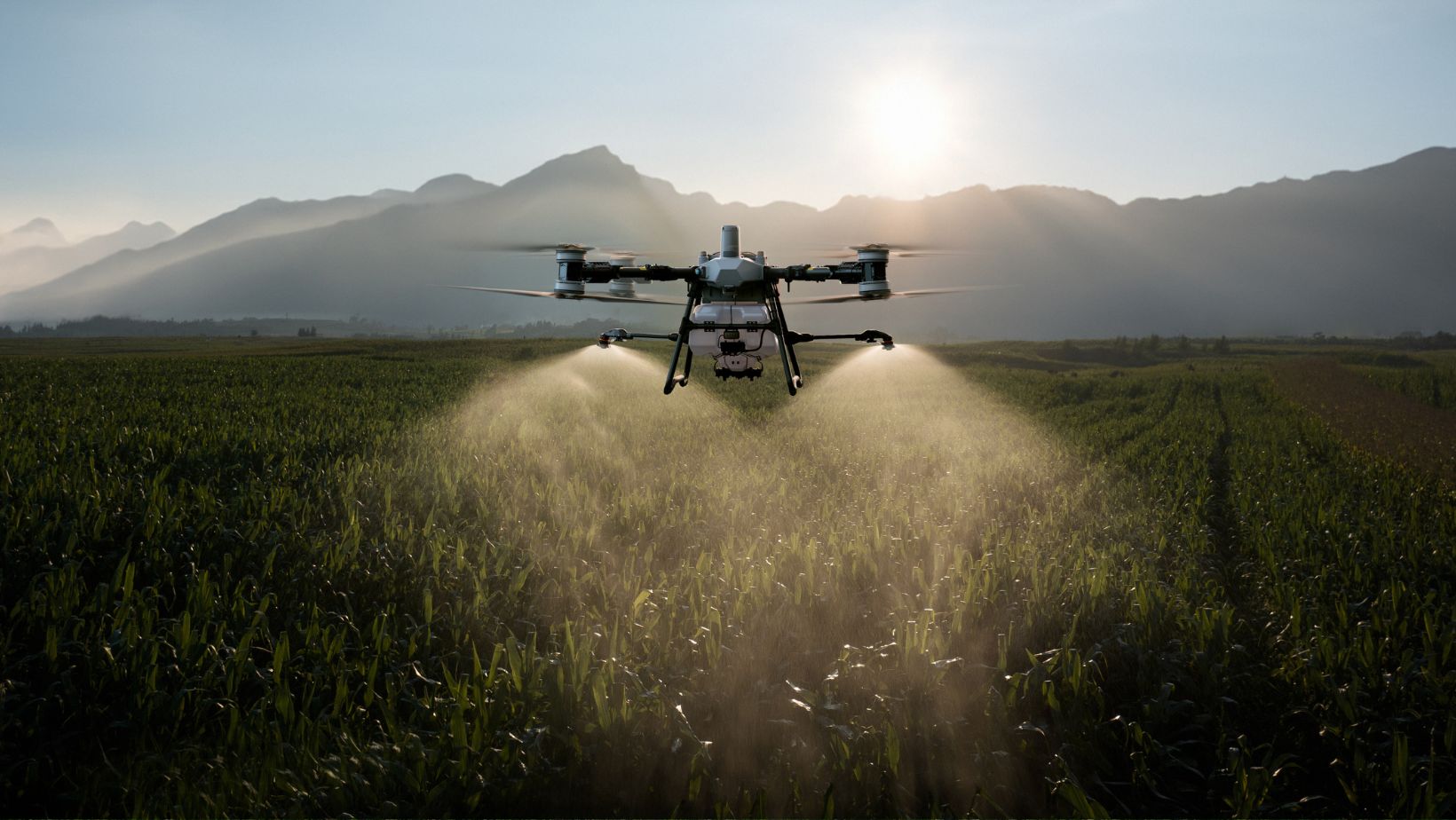 Drone DJI pulverizando milho dji t100
