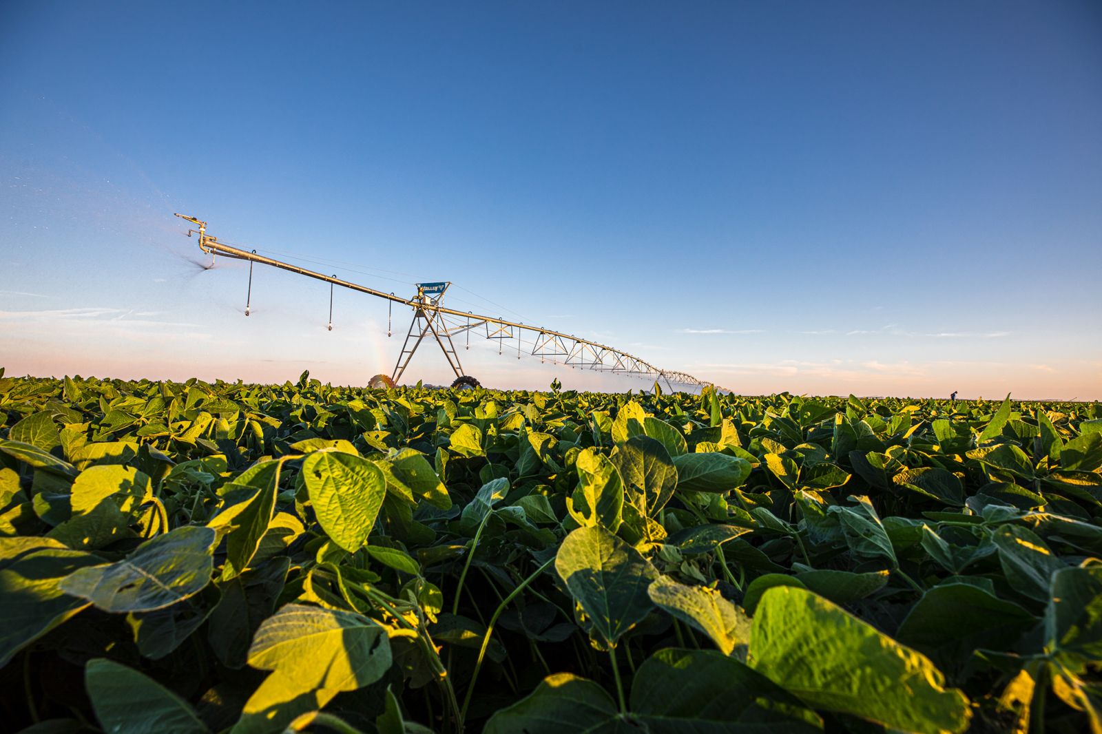 Manejo inteligente da irrigação pode reduzir em até 35% o uso de água nas lavouras