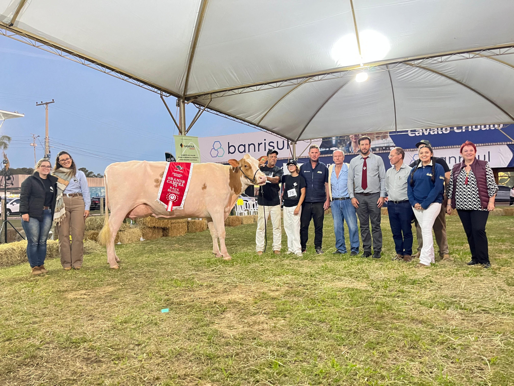 Granja Letícia, associada da Cooperativa Santa Clara é Grande Campeã da Raça Holandesa na Fenasul Expoleite