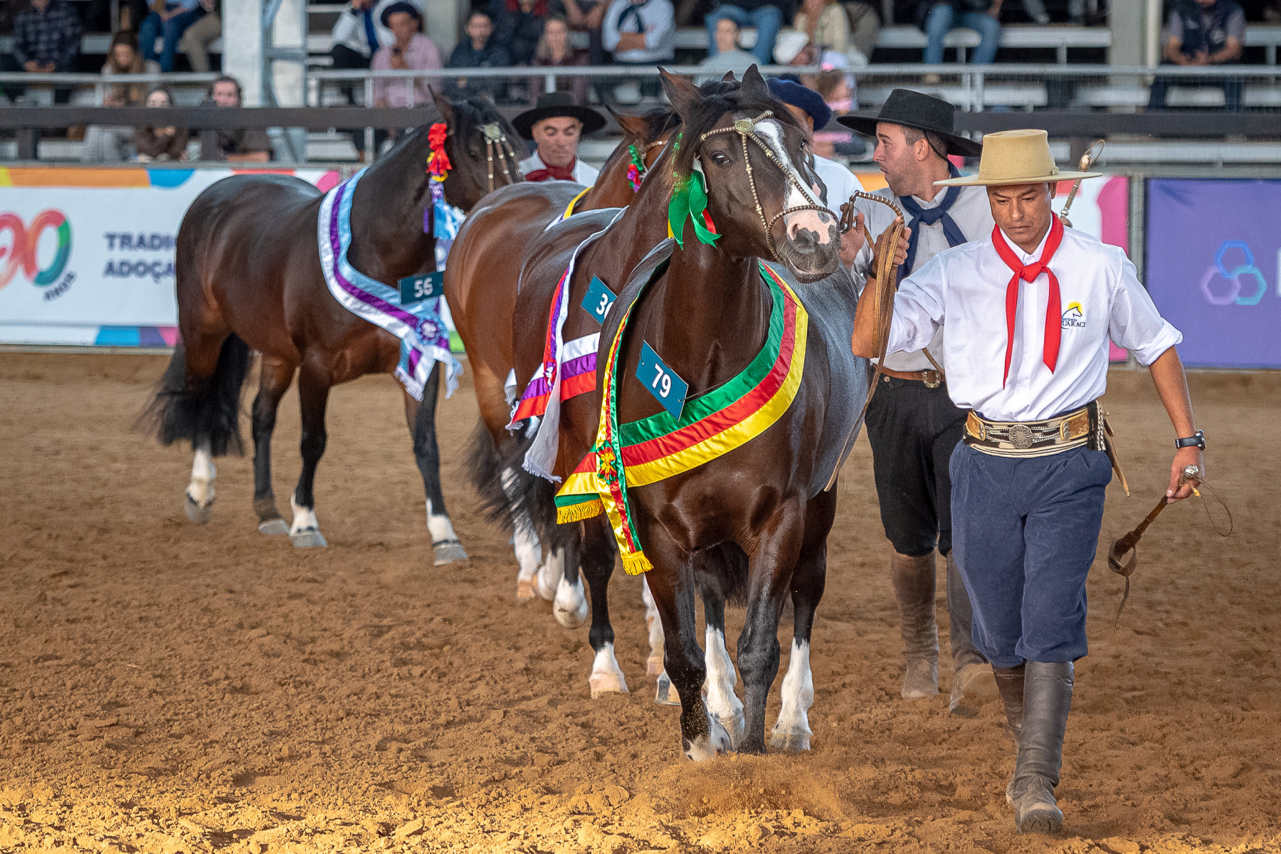 Benilde de Quaraci leva para Santa Cruz do Sul o título de Melhor Exemplar na Outonal em Esteio