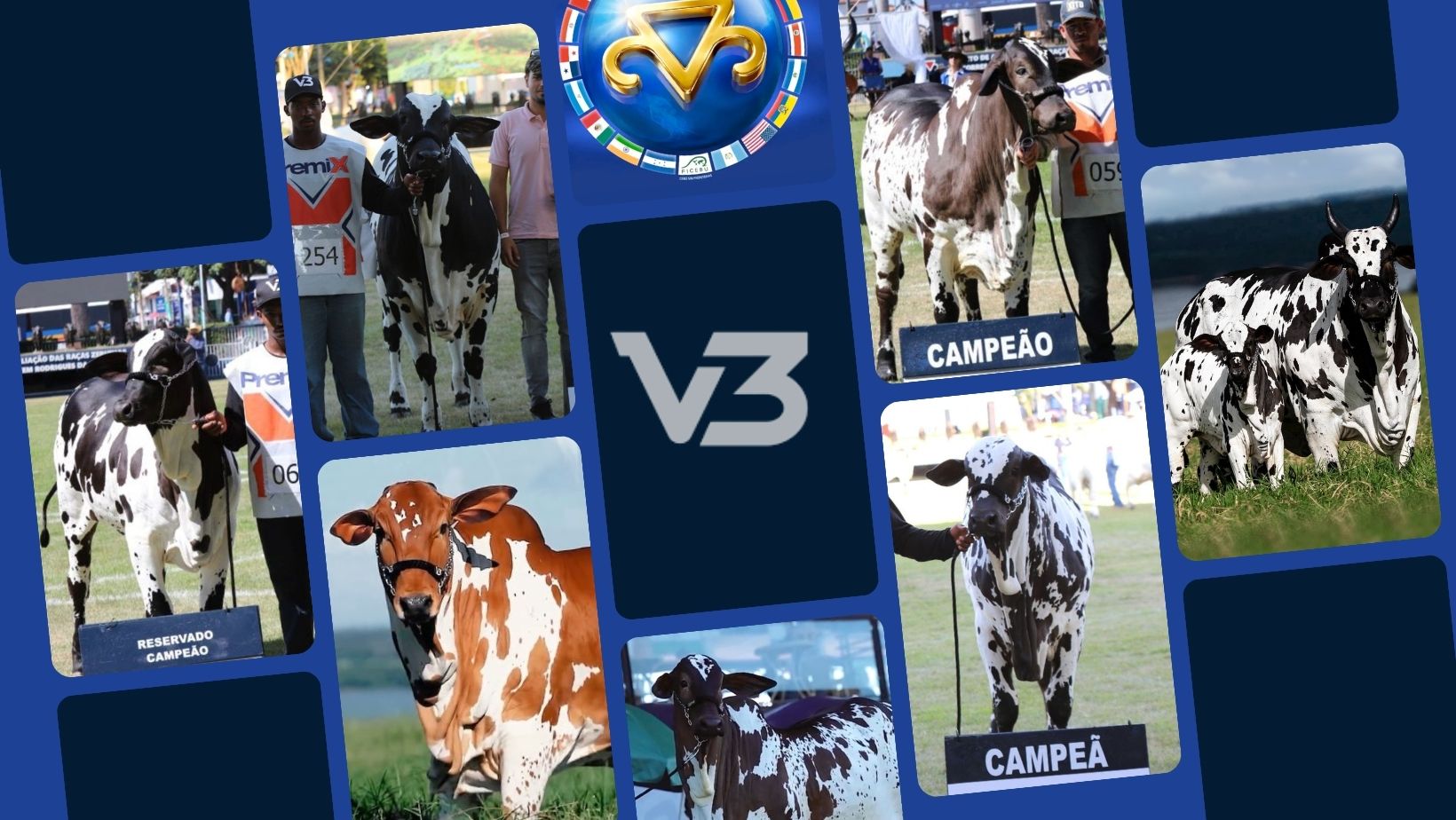 Marca V3 na Expozebu 2026 - campeoes e campeas