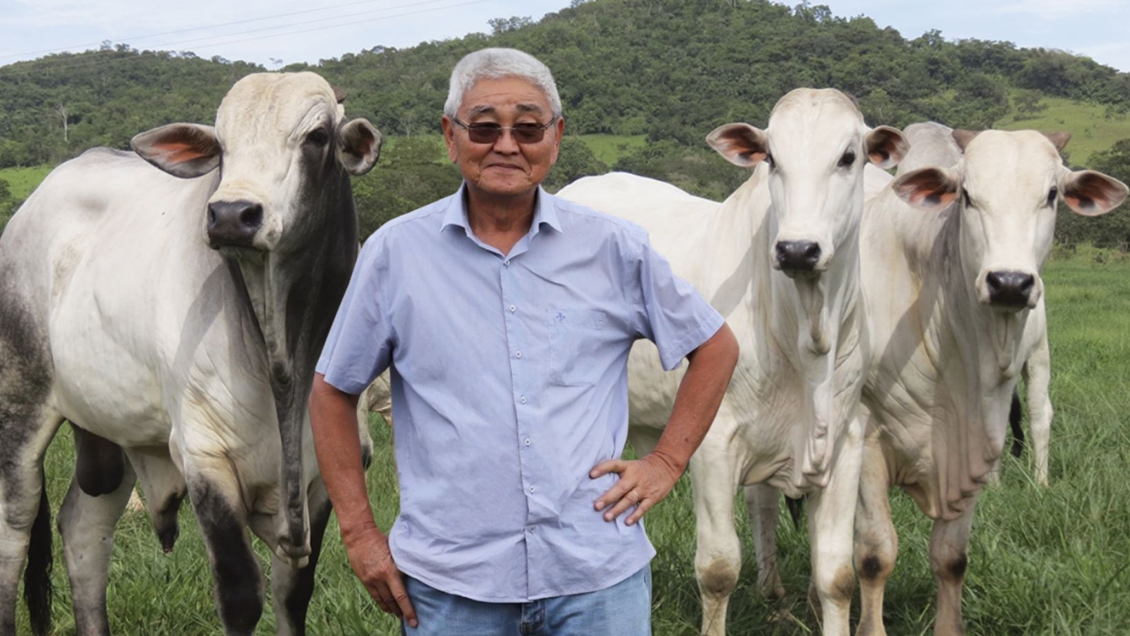 Shiro Nishimura - Jacto - Fazenda Araponga - melhoramento nelore