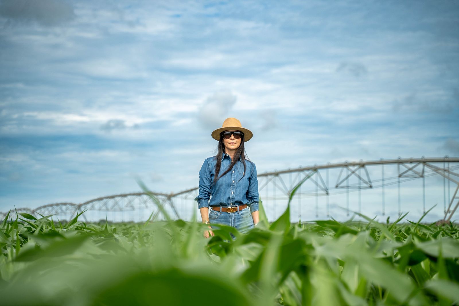 Soja sustentável rende R$ 6 milhões em bônus e impulsiona agricultura regenerativa em Mato Grosso