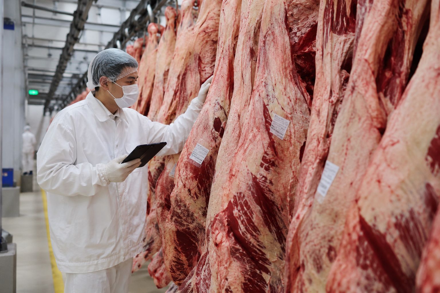 carne bovina para china