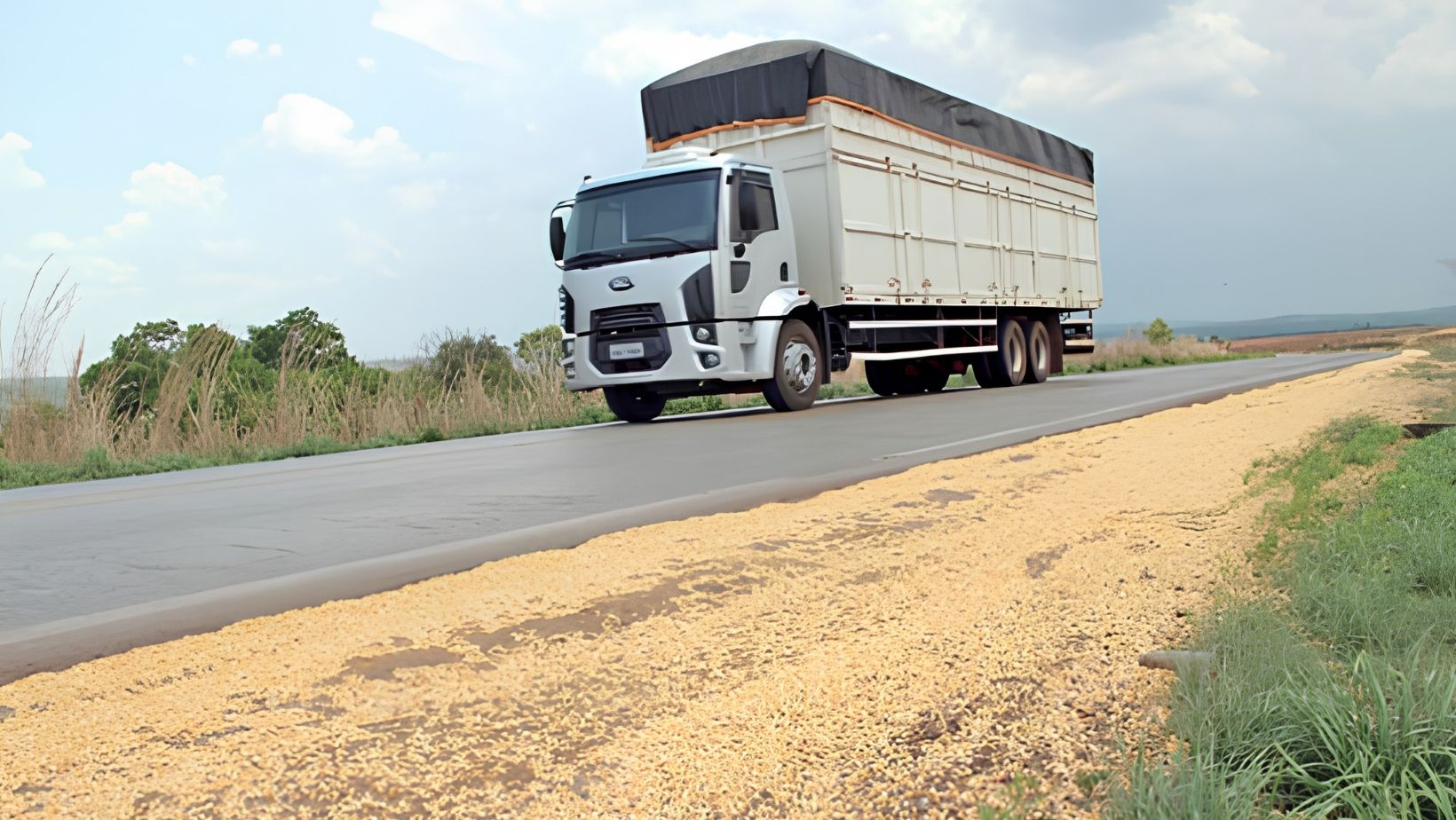 Perdas durante o transporte de grãos põem em risco animais - Foto: Agência Goiana de Defesa Agropecuária