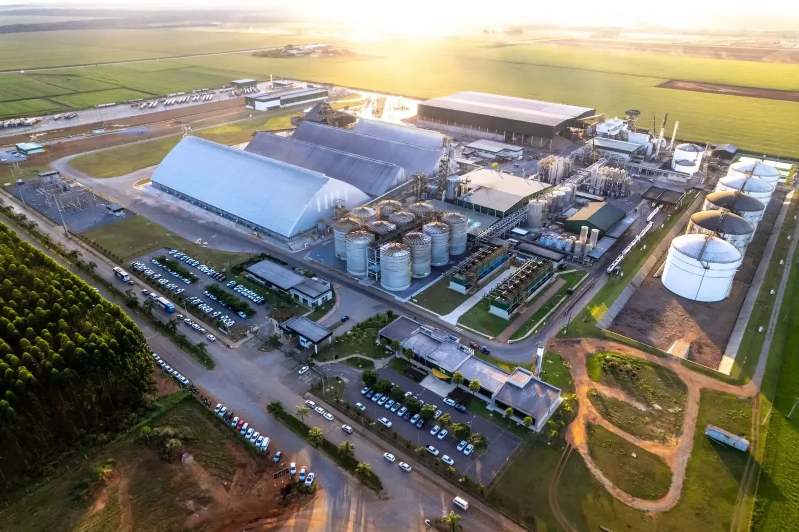 Amaggi expande portfólio agrícola com compra de 40% da produtora de etanol FS