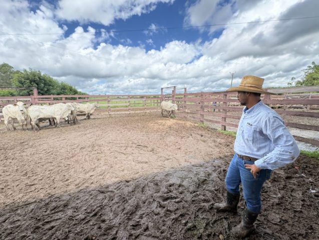 O Segredo do Sucesso: Como esta fazenda no Maranhão usou a genética para transformar a pecuária regional