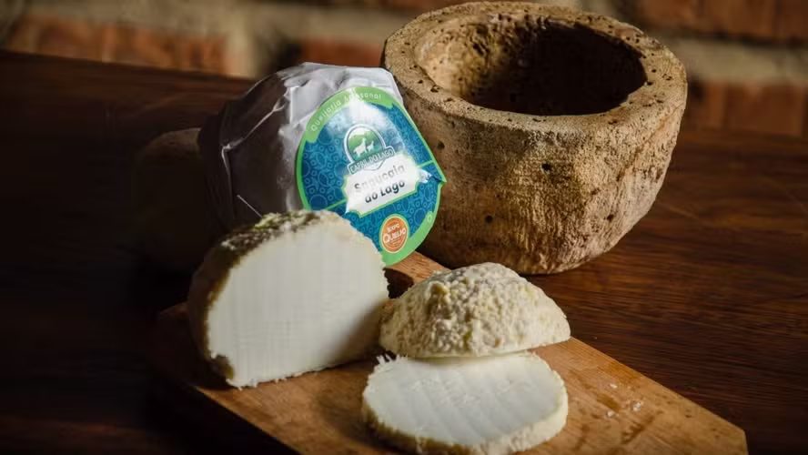 Queijo de cabra brasileiro é eleito o melhor do mundo; saiba como é feito
