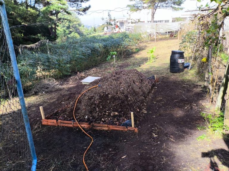 Mapa destina café apreendido para produção de composto orgânico no Paraná
