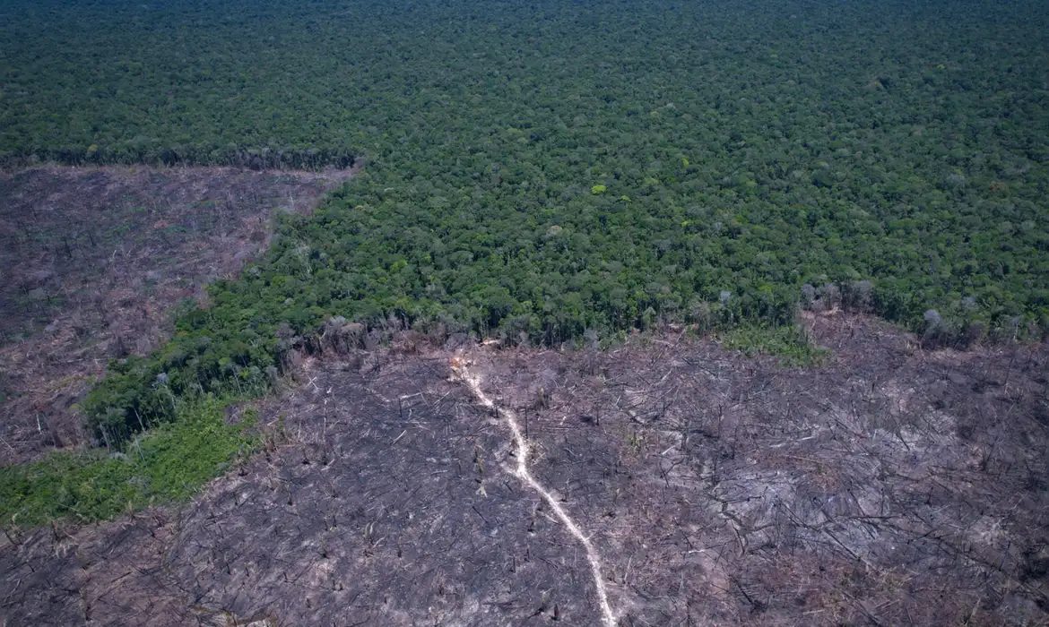 COP30 lança plano para intensificar ações contra desmatamento e combustíveis fósseis