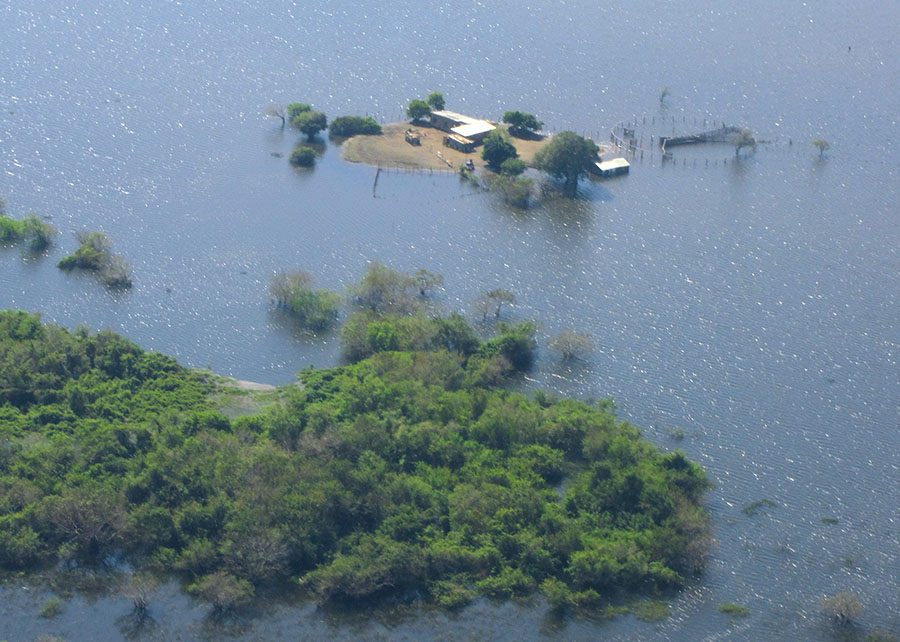 Cheia de 2026 no Pantanal permanece abaixo da média histórica