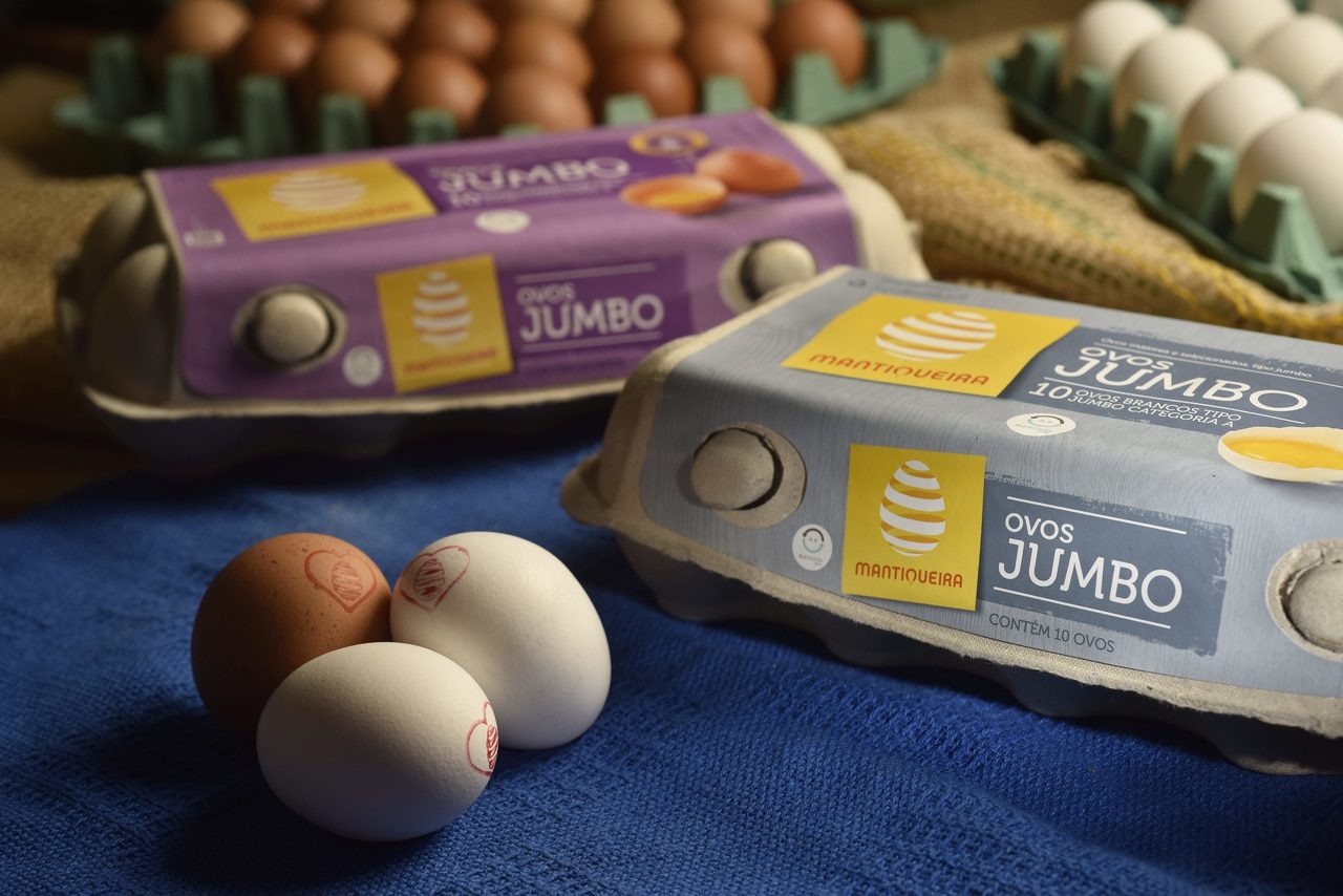 O segredo dos ovos jumbo: Como a idade da galinha define o tamanho do ovo