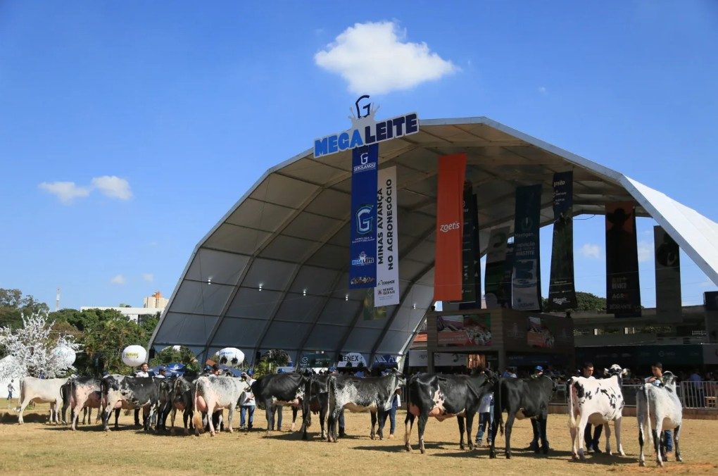 Embrapa Gado de Leite leva ciência e inovação para a Megaleite 2026