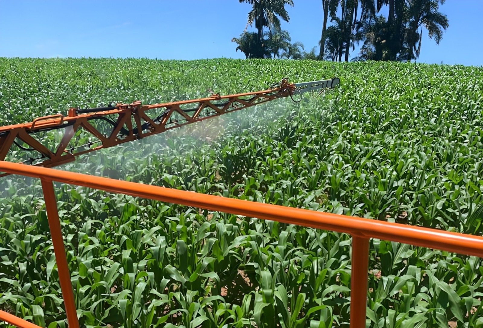 Contratos agrários demandam análise jurídica e ambiental antes da assinatura