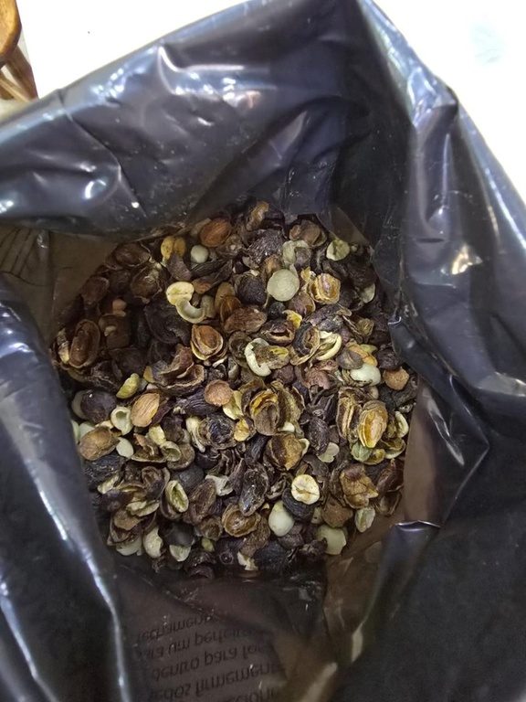 Operação conjunta apreende mais de 82 mil quilos de produtos irregulares relacionados à produção de café torrado