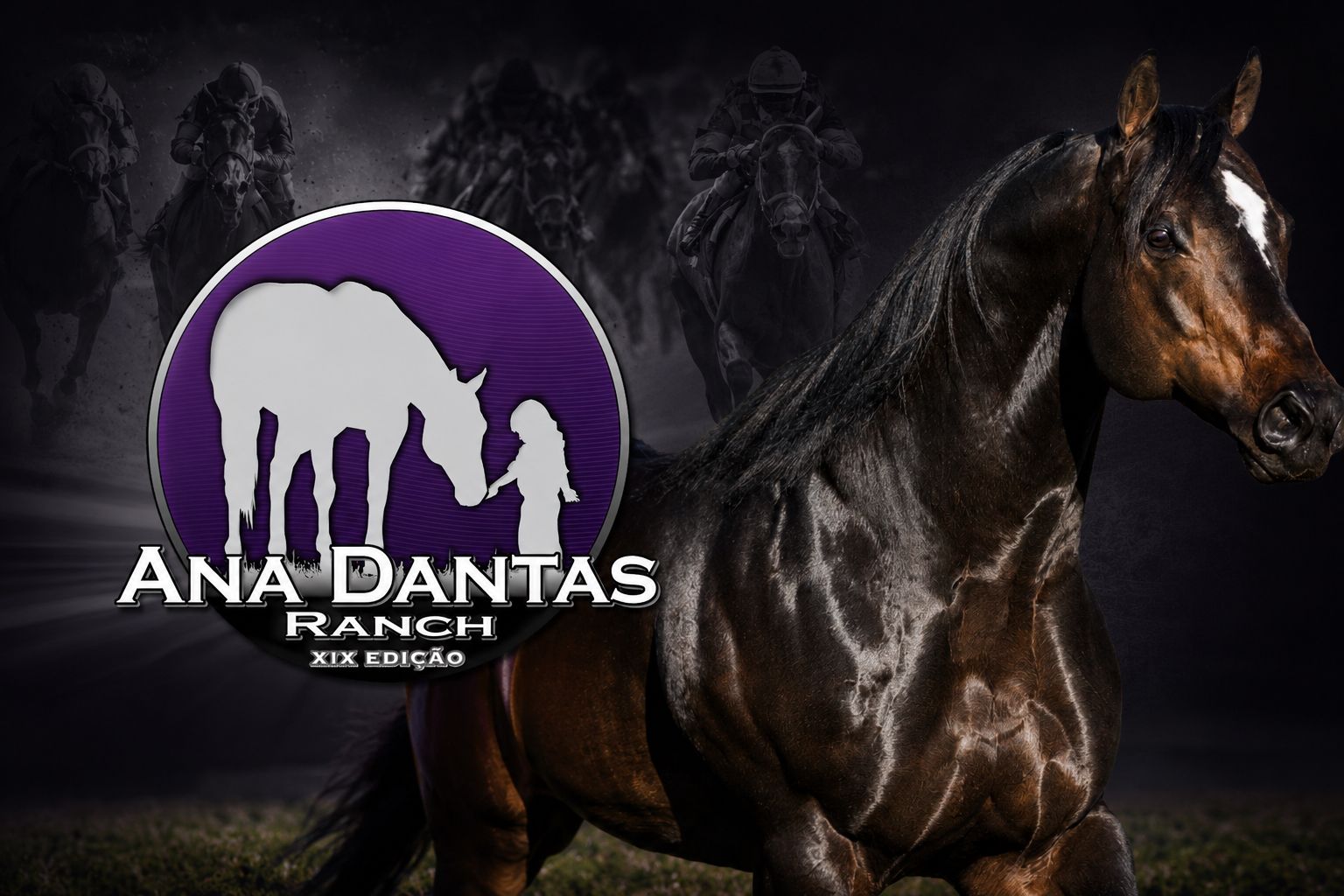leilao ana dantas ranch