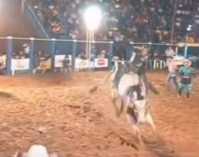 Peão morre pisoteado por touro durante rodeio em Rondônia; vídeo