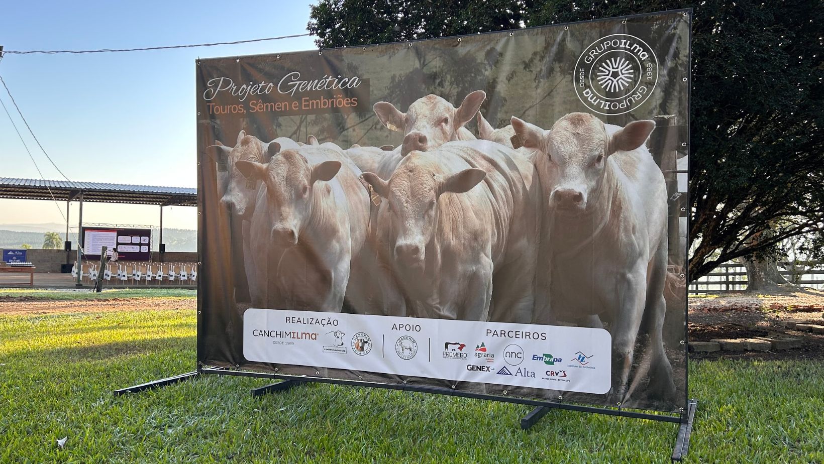 projeto genetica semen e embrioes da raca canchim - grupo ilma