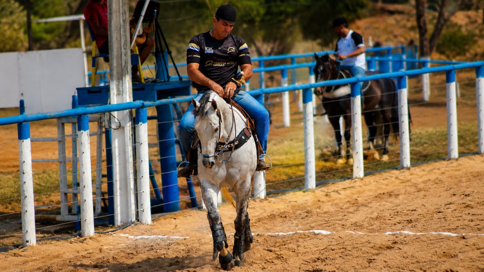 Monte Siao haras